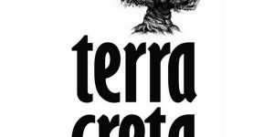 TC Logo 300×250