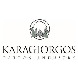 logo karagiorgos-grammiko